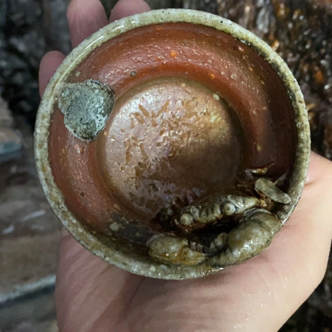 开窑大吉 高货多多9**8274