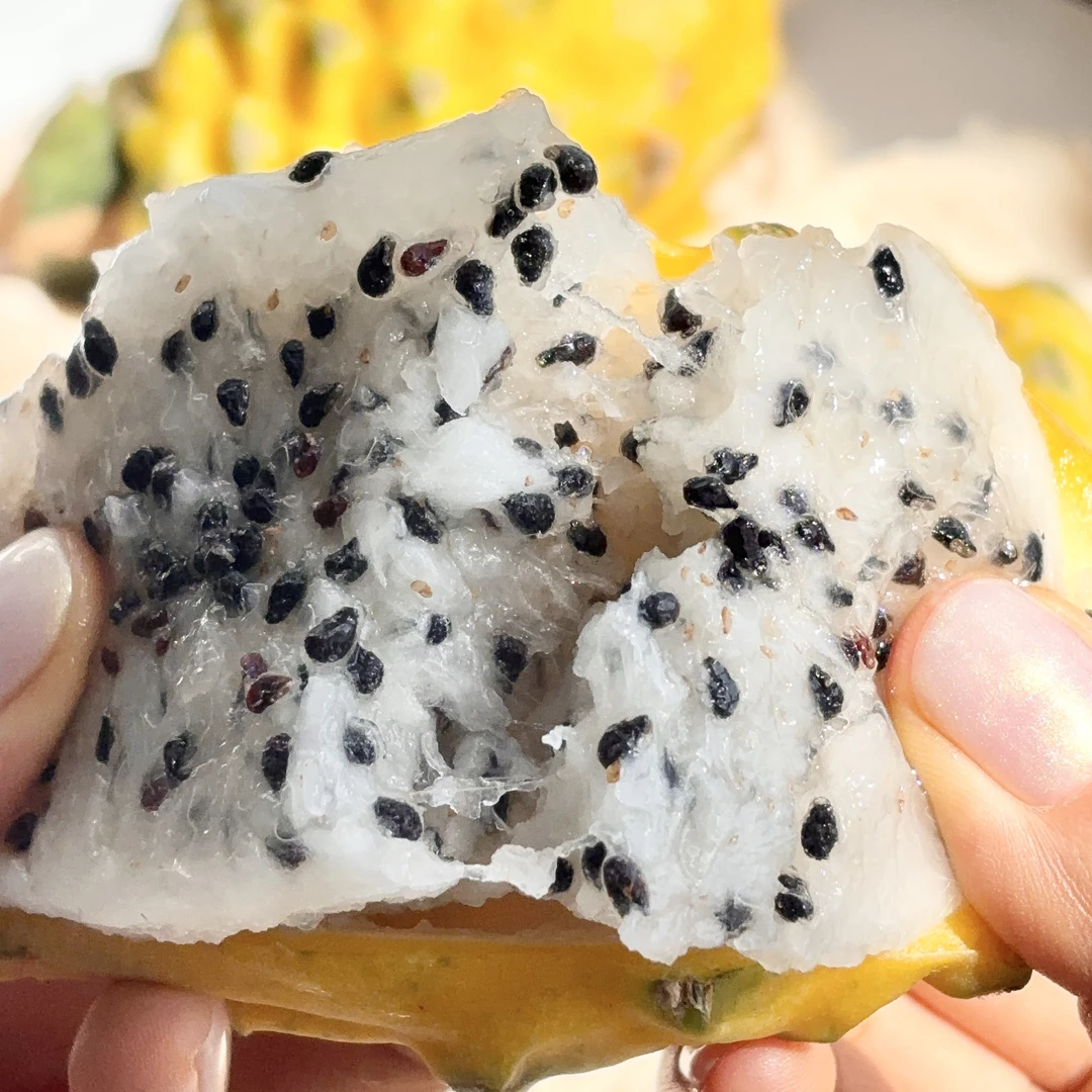 海南燕窝果口感纯甜富含植物性白蛋白和水溶性膳食纤维