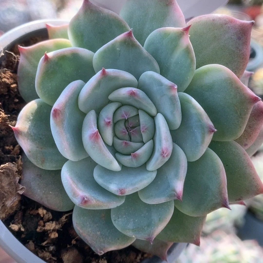 005哈哈哈哈哈哈哈哈哈