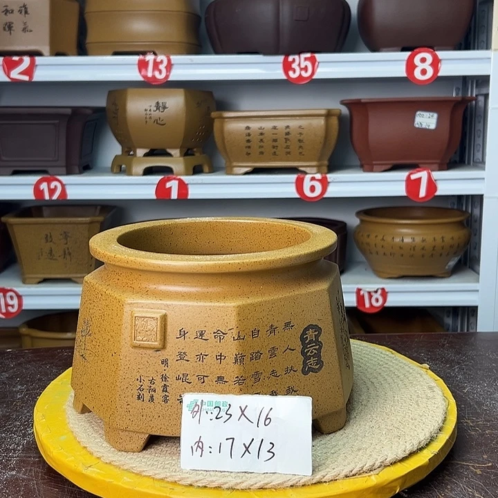 紫砂花盆你在一起
