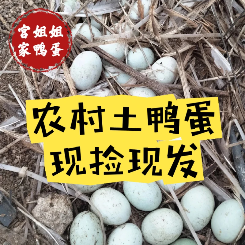 【新店冲量】新鲜生鸭蛋农家散养天天现捡五谷虫草野生土鸭蛋