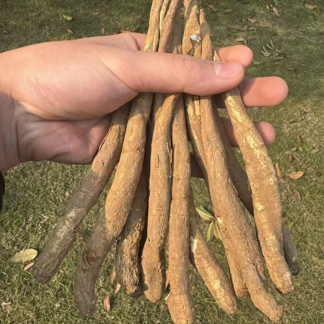 ZXSH云南甜当归大凉山野生独角当归中药材天然川当归干货整根煲汤