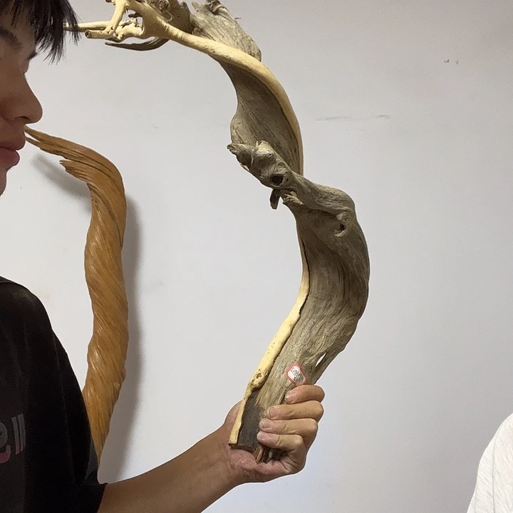 用***4柏木（崖柏）我是李静如水般若波罗蜜多地