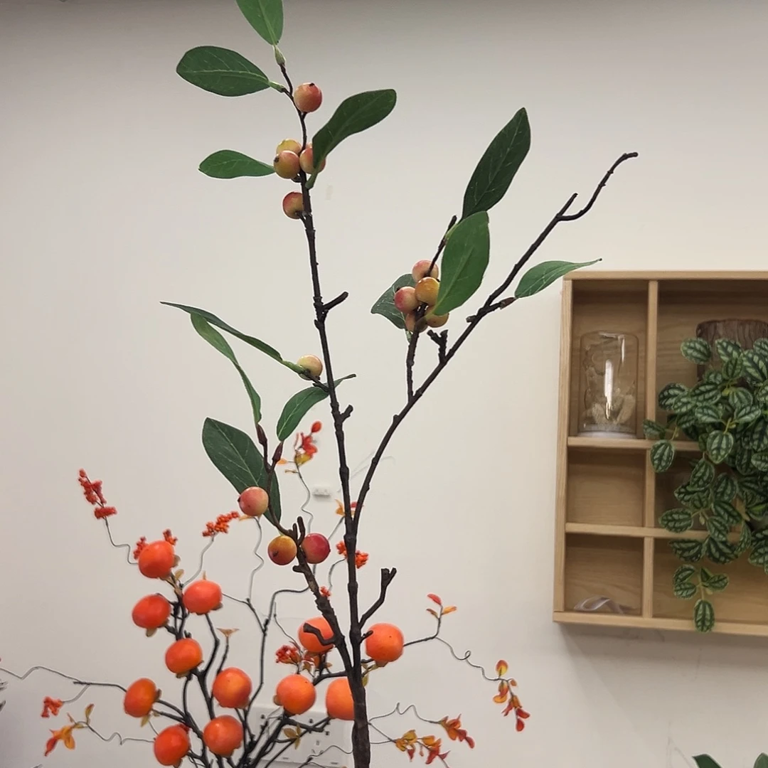 抖音直播间果子一支