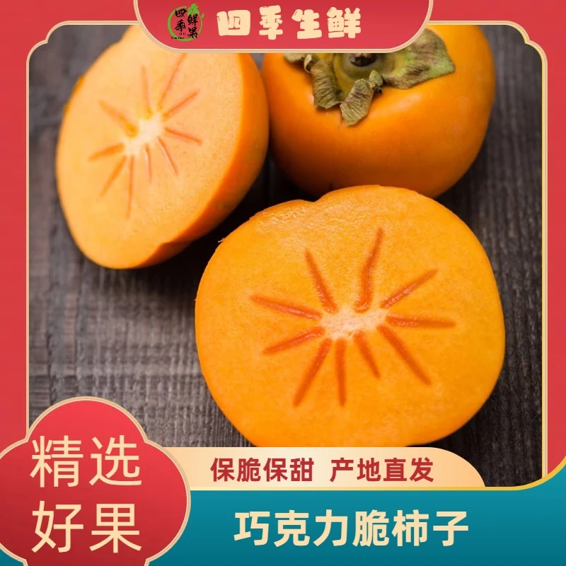 【顺丰包邮】巧克力阳丰脆柿新鲜水果冰糖心整箱-SF