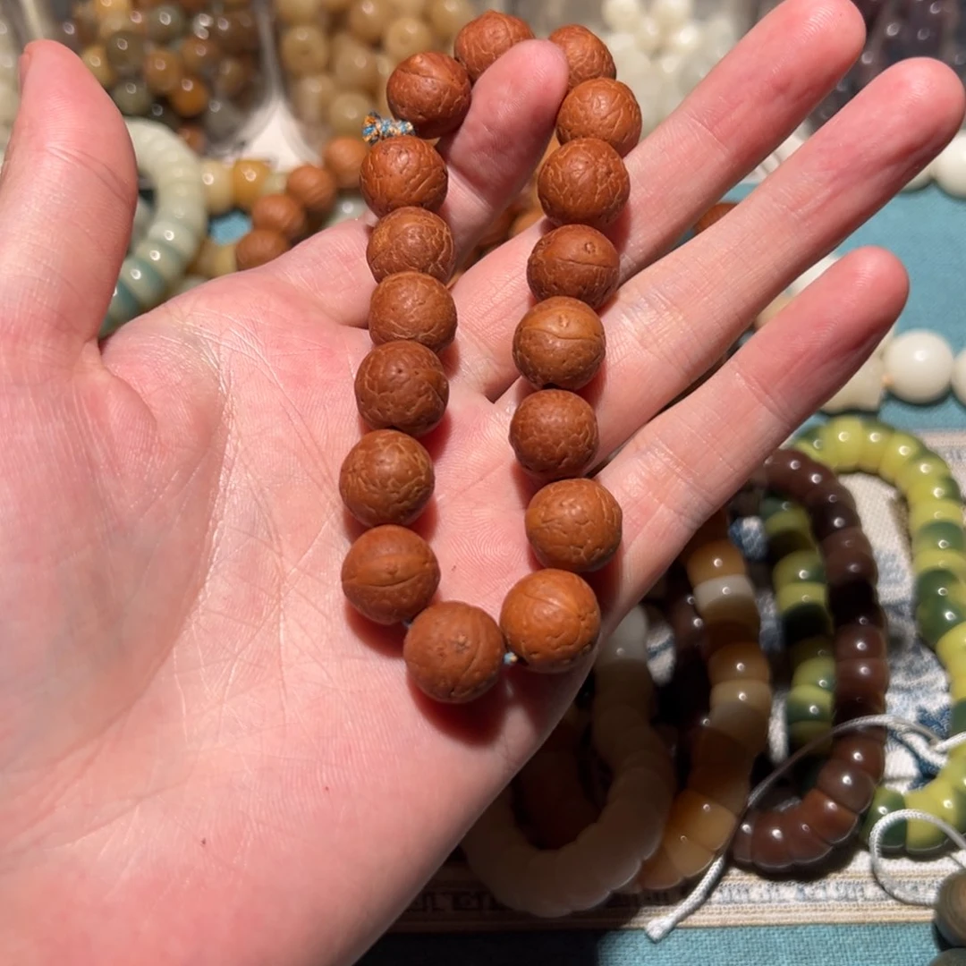 手串菩提根/象牙果