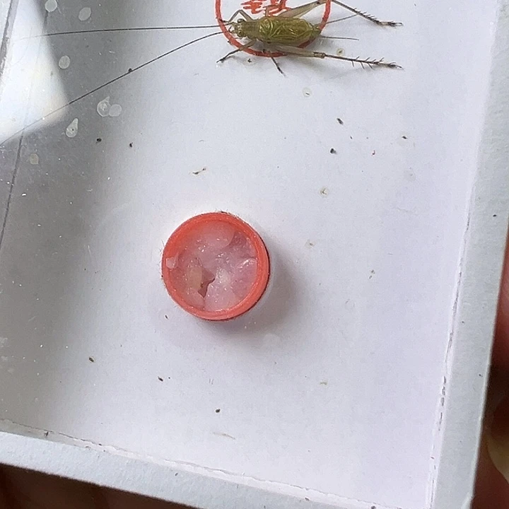 林***雨哈哈哈哈哈哈哈哈哈哈哈哈