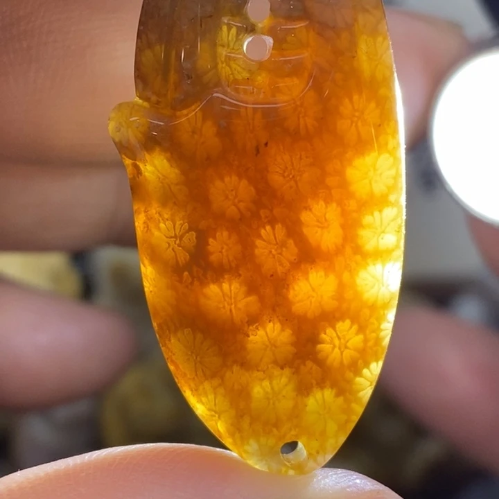硅化珊瑚（珊瑚玉）未镶嵌颈饰
