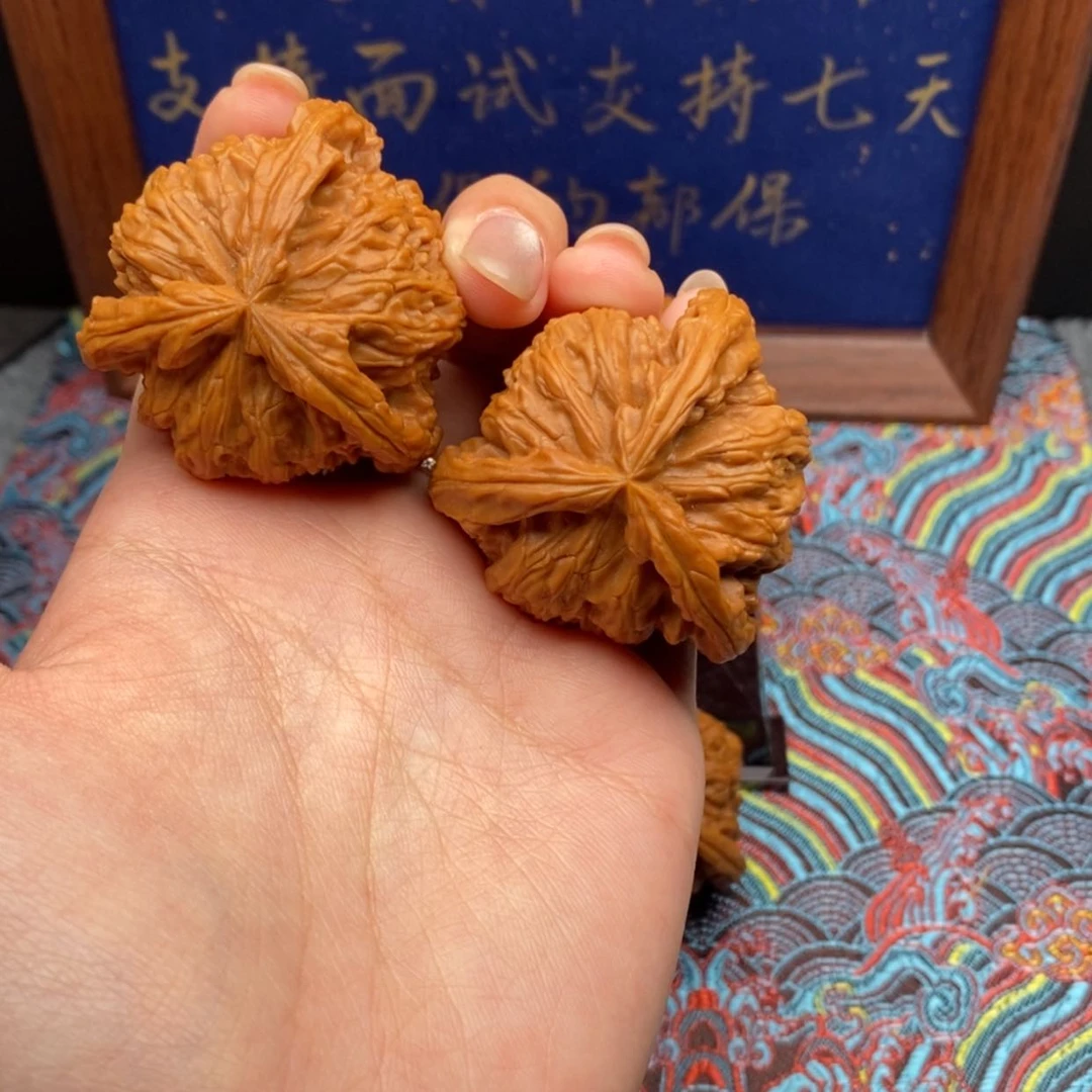 【闪购商品】第**量白狮