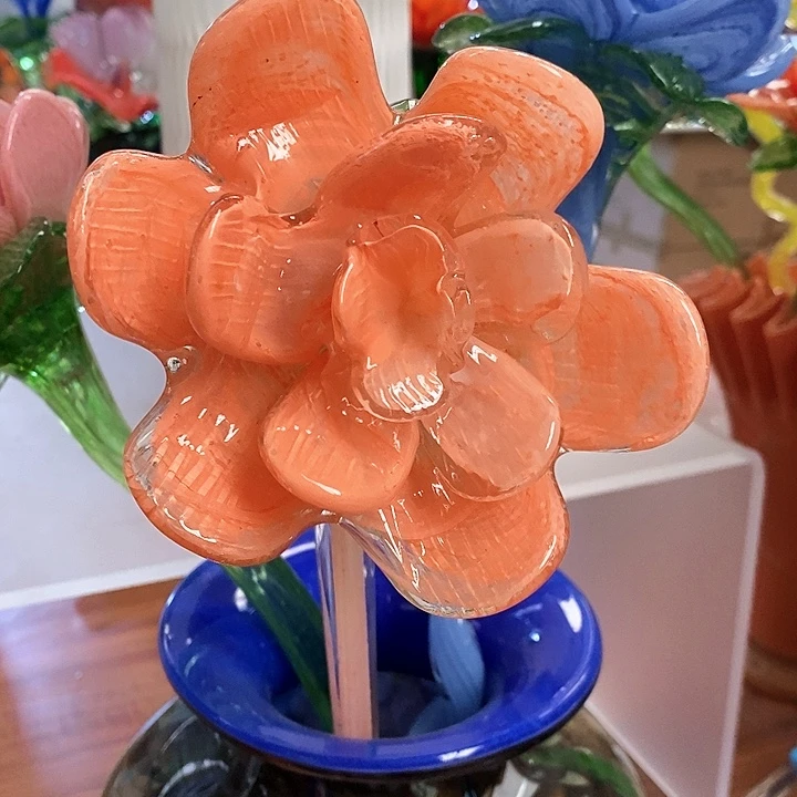 *****夜光花1只好看漂亮