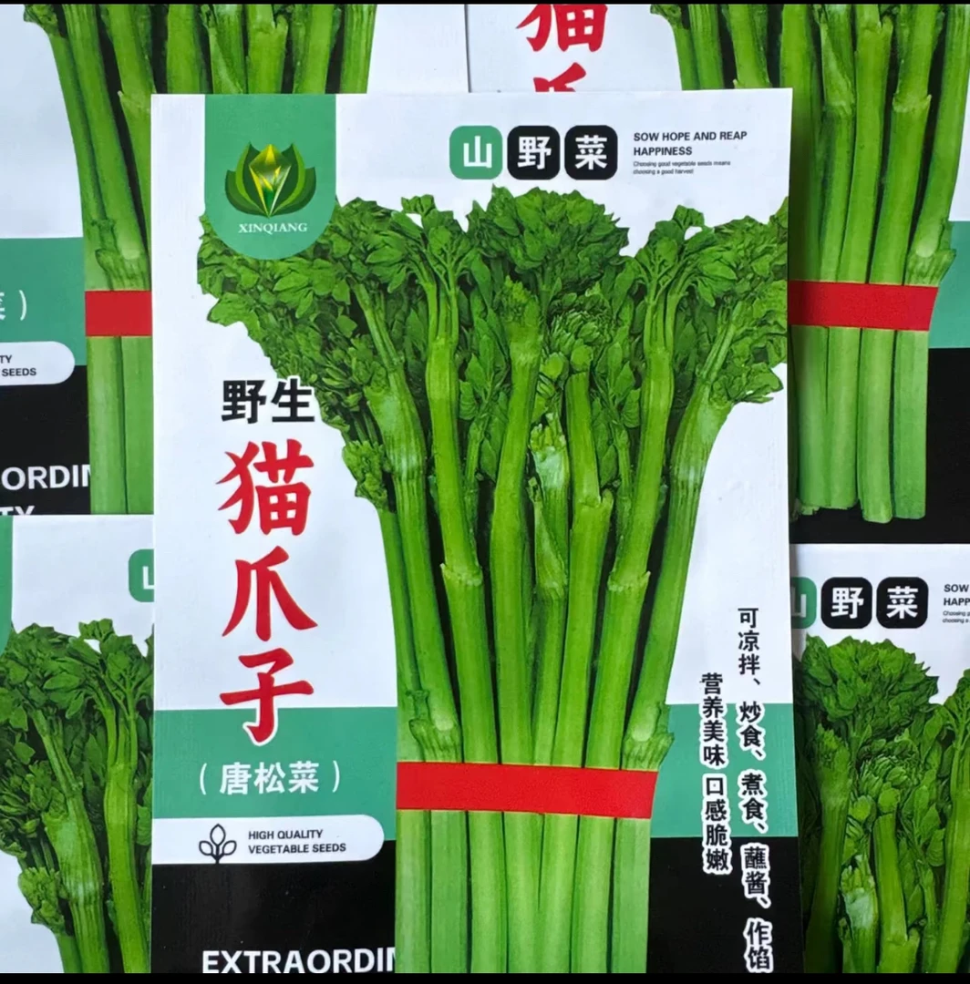 野生猫爪子种子（新老包装随机发货）