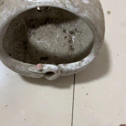 z c z c z c x c x c