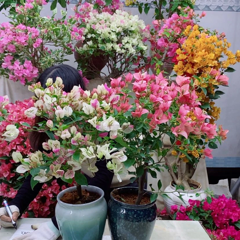 【闪购商品】完全开放