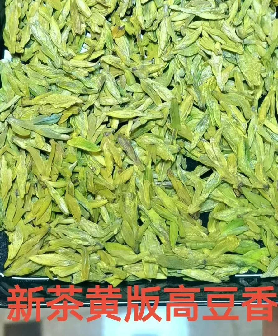 【2025年新茶】黄版高豆香龙井 浓郁耐泡 香醇豆香 鲜爽回甘不苦涩