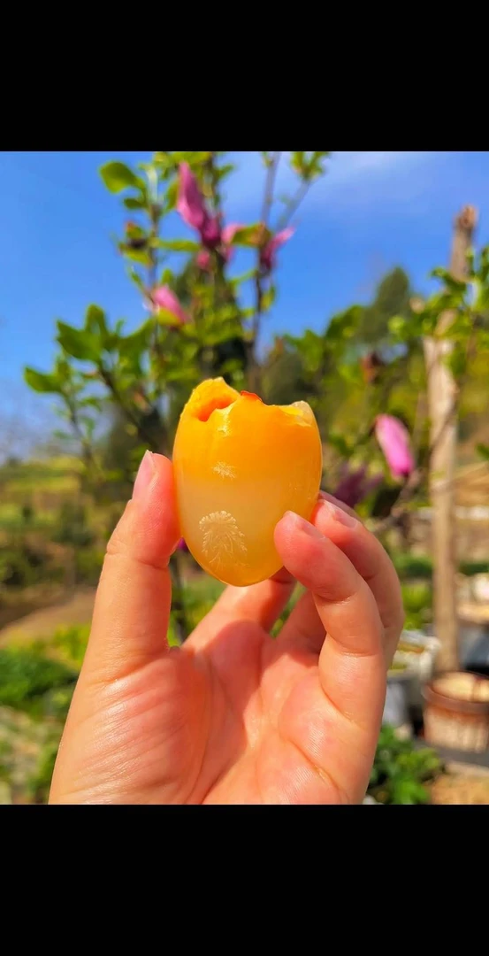即食糖心鸭皮蛋零食速食早餐溏心熟食流心蛋