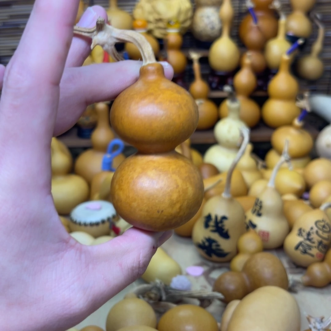 花叶病宫廷八宝厚皮响籽44
