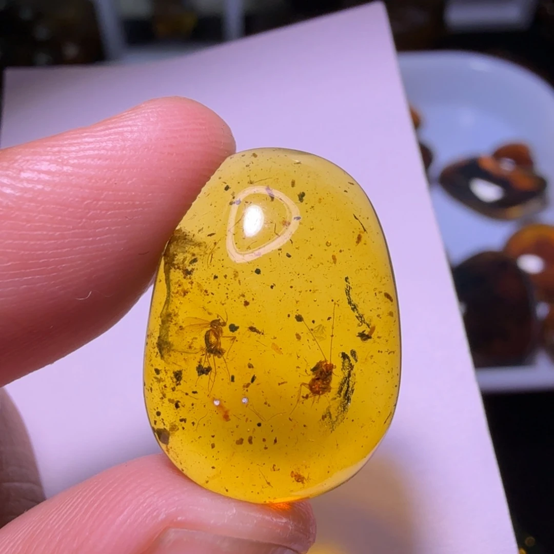 植***生未镶嵌琥珀裸石，，
