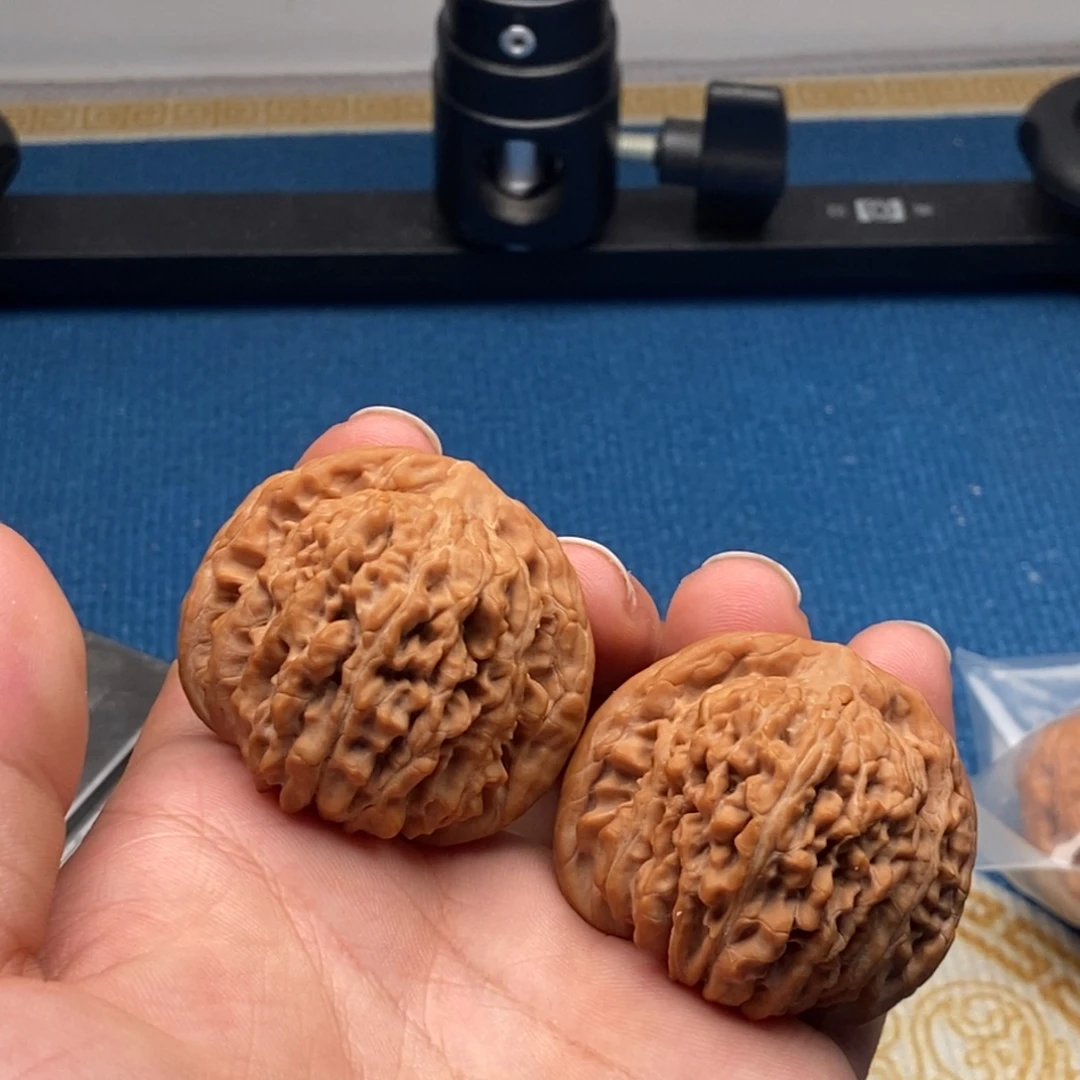 核桃蓟县楼42全品