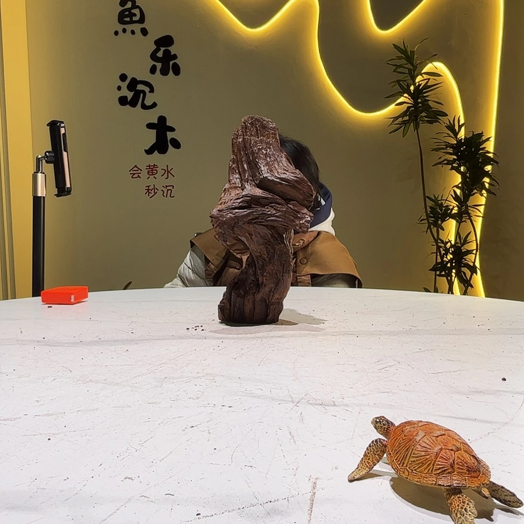 瓦当侯*会黄黑红水294。12 12 26