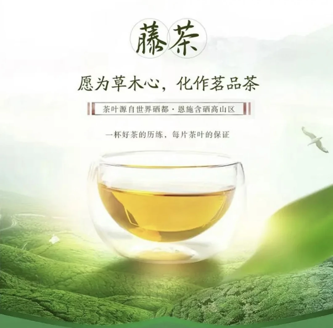 恩施藤茶小嫩芽尖2025新茶藤茶养生茶