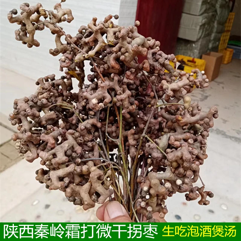 2025陕西秦岭霜打微干拐枣万寿果生吃泡酒煲汤鸡爪梨枳椇子金钩梨