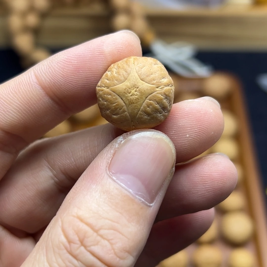 凤眼菩提手串19麒麟眼