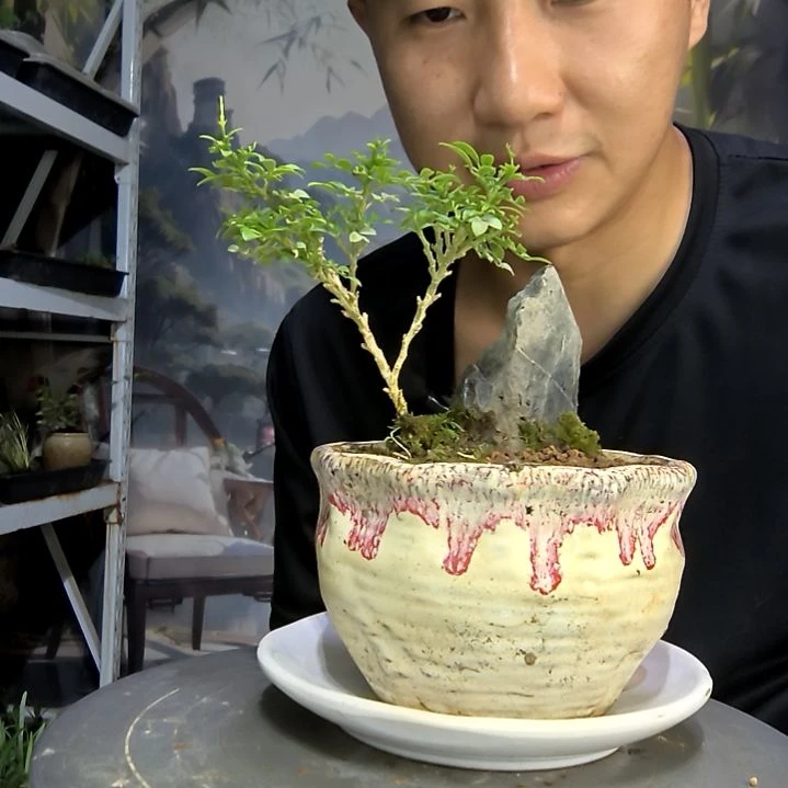 子**书中青园艺一物一拍285