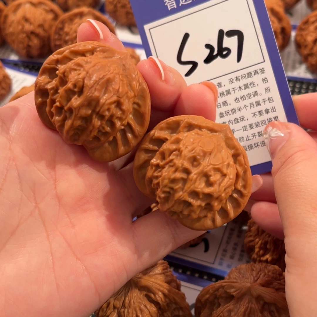 核桃S267号图图41尺