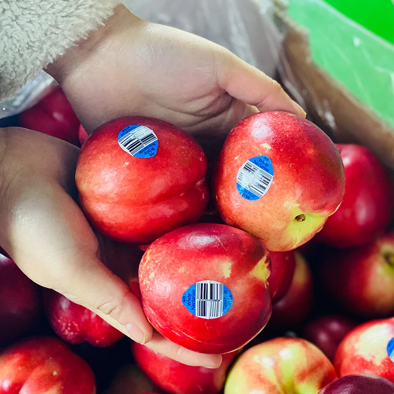 智利进口油桃油驳李2个装（单个125g）