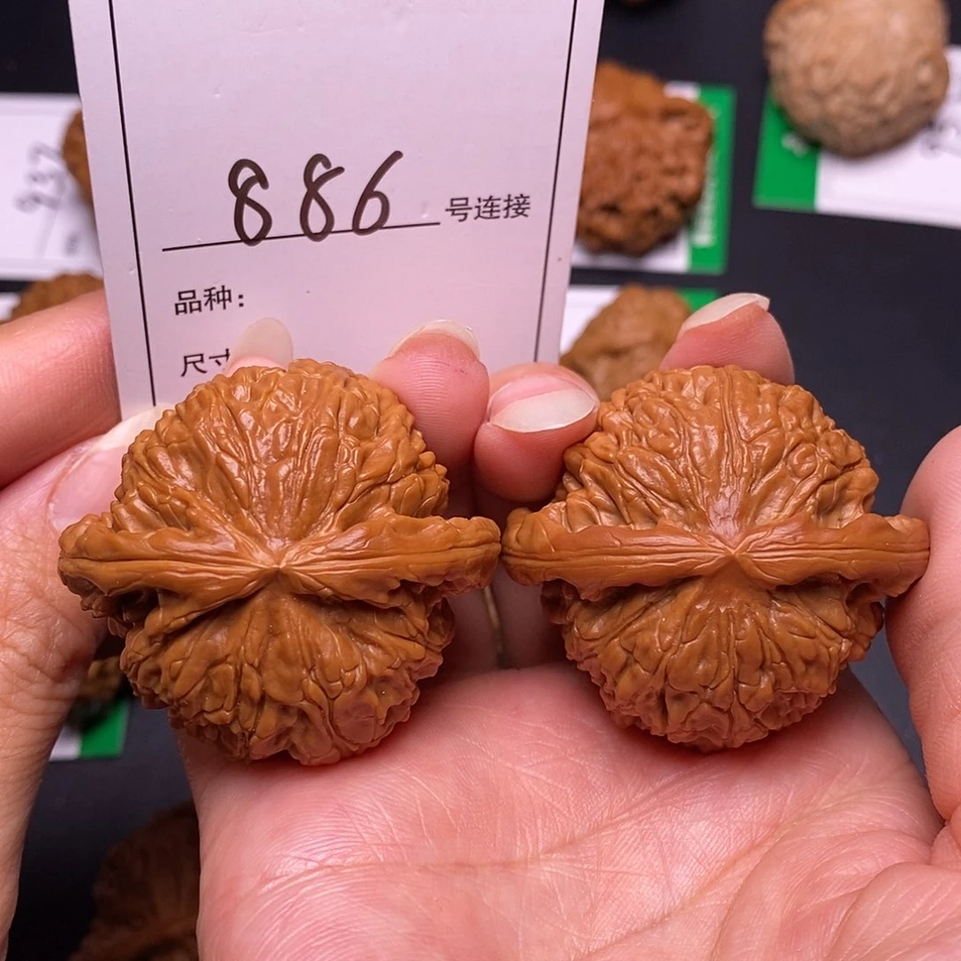 吊坠文玩核桃886白狮子4.5