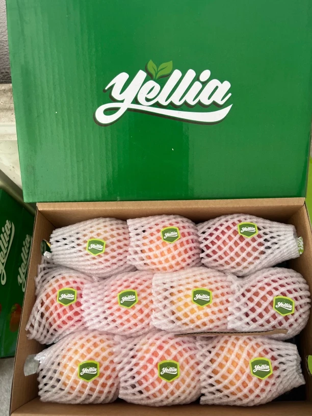 山西A级苹果礼盒8-10粒呼包鄂顺丰包邮