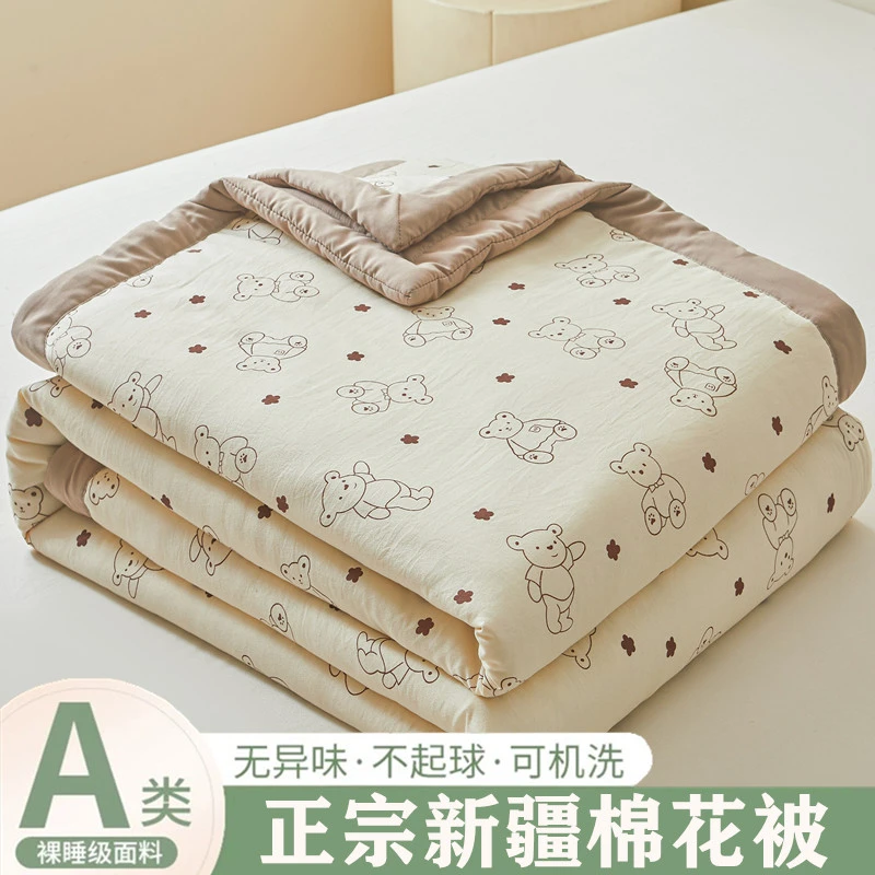 A类无印风棉花夏被夏凉被空调被薄被芯爆款薄被子春季双人家用被