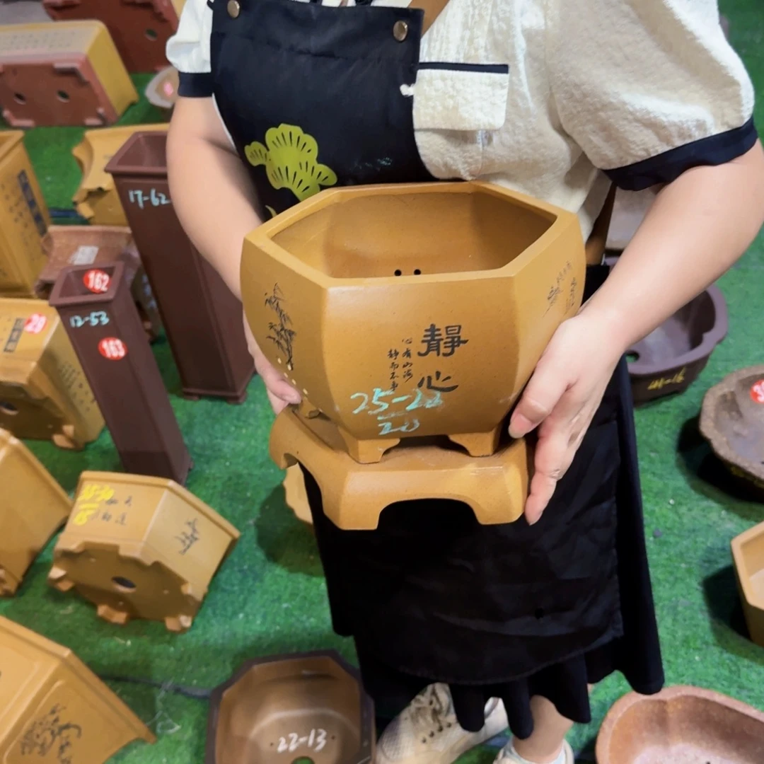 紫砂花盆紫砂花盆