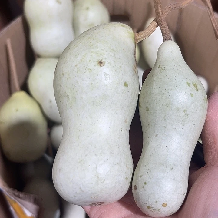 非洲紫檀（红花梨）用****9