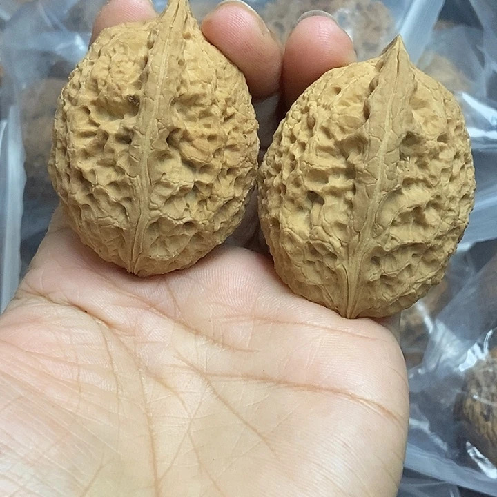 木质类云南铁核桃基地3