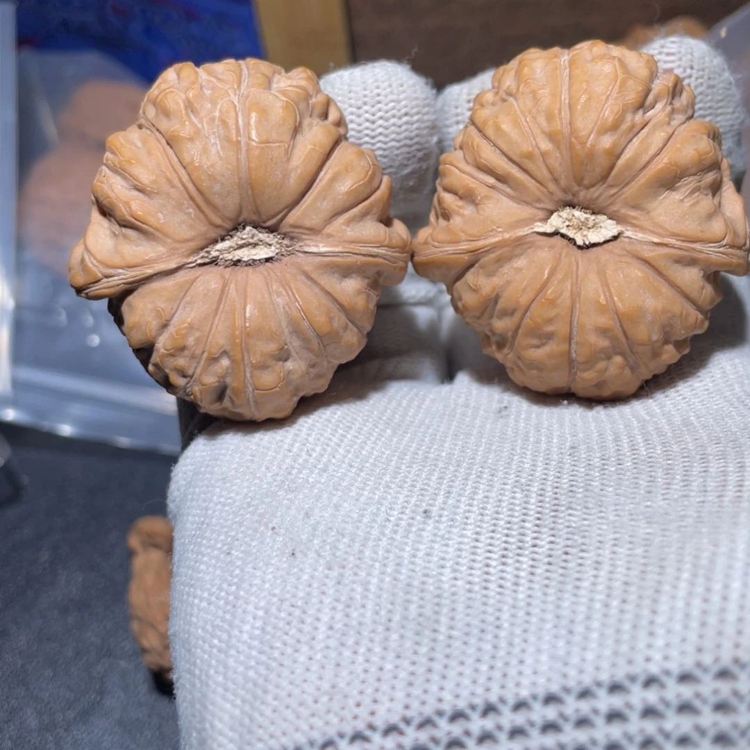 大叶紫檀（黑酸枝木类）全品南瓜炖