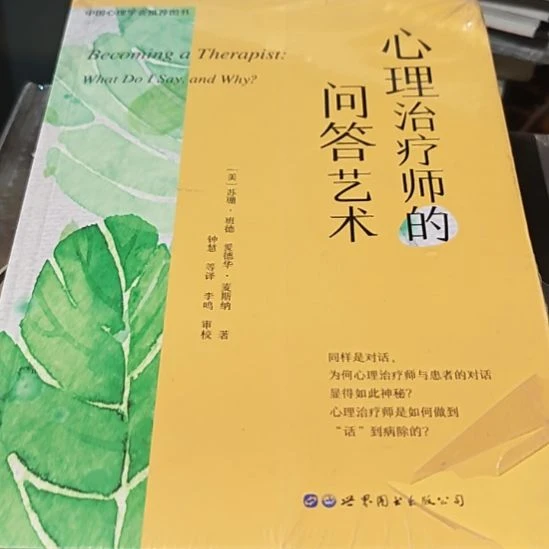 心理治疗师的问答艺术瓶库存书
