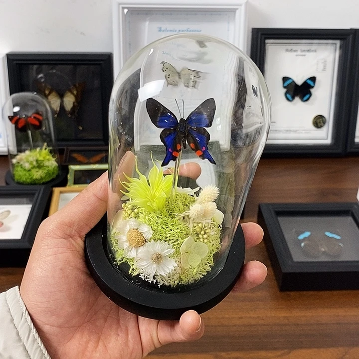 珐琅铁合金白条松玻璃造景