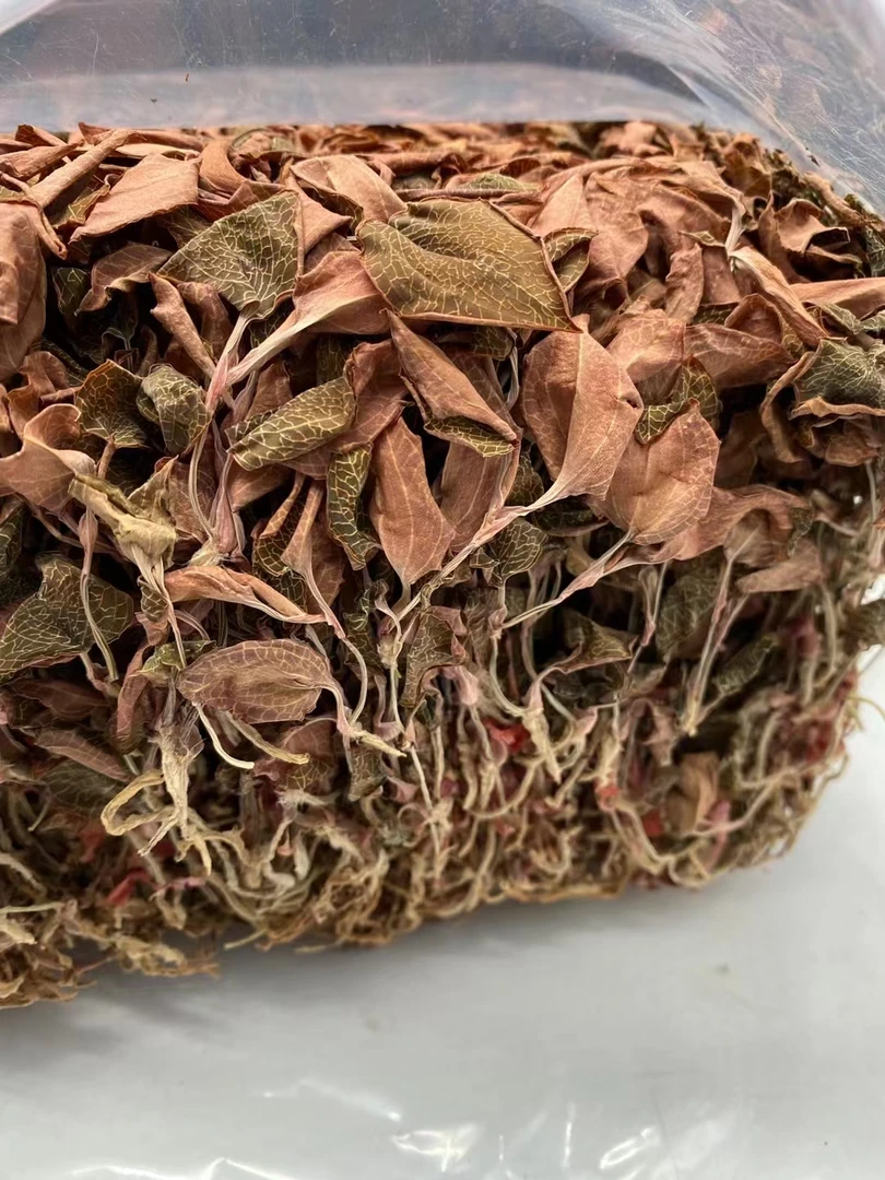 精选漳州金线莲（味香）