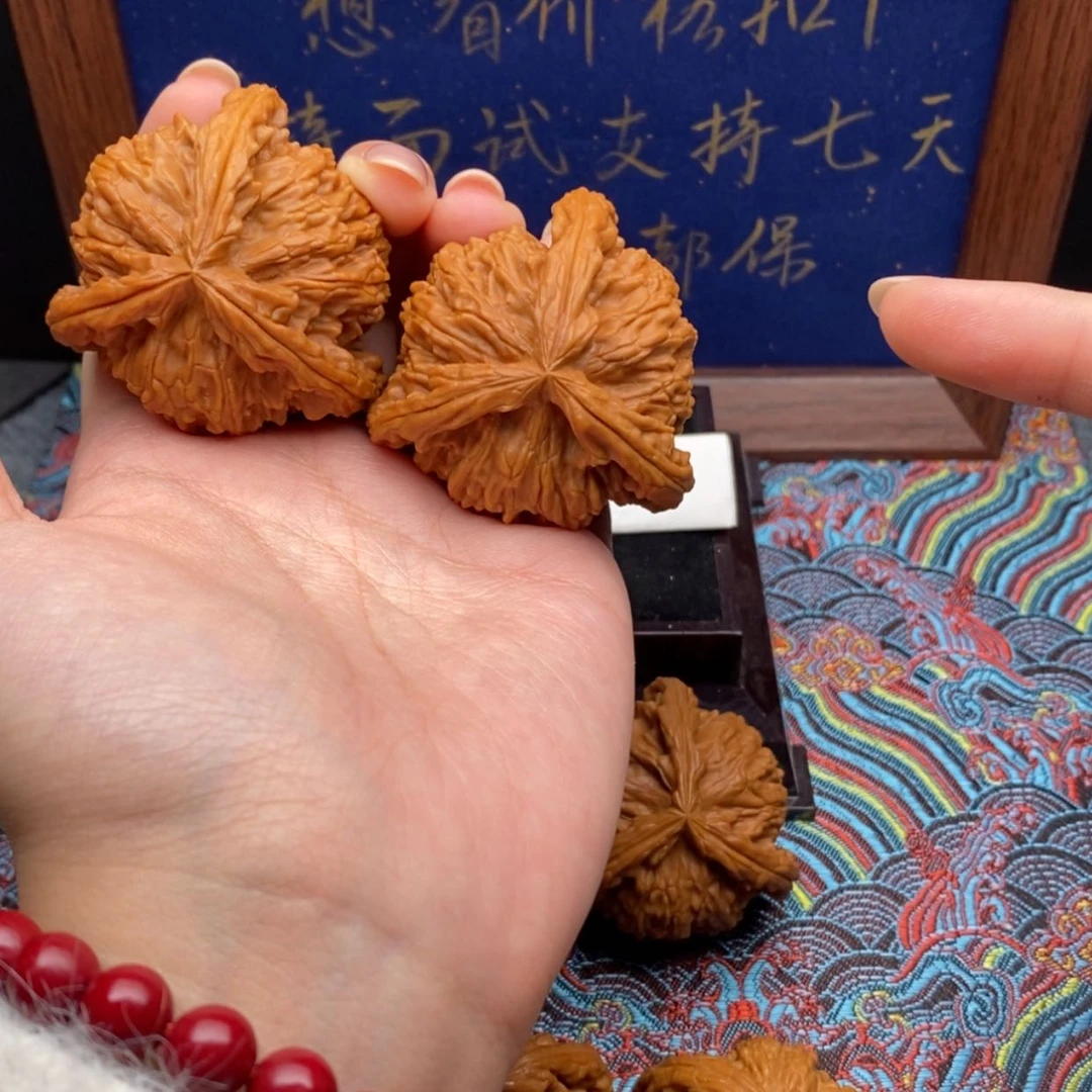 【闪购商品】H*白狮