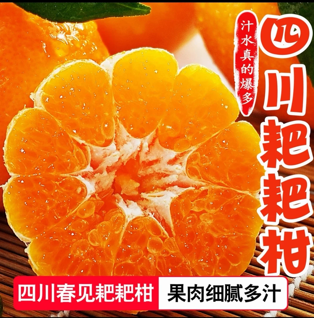 正宗四川春见耙耙柑大粑粑柑整箱包邮批发应季新鲜水果产地丑橘