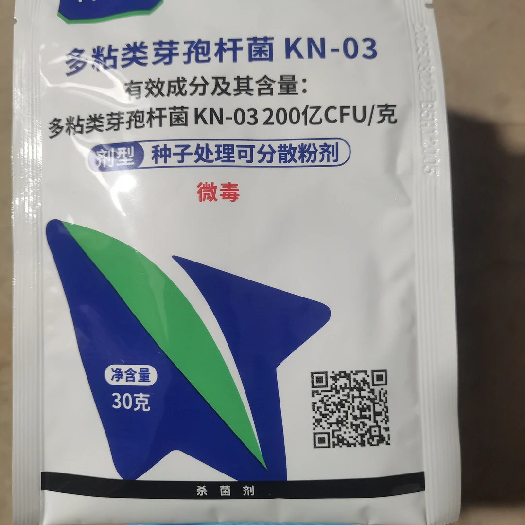 多粘类芽孢杆菌。