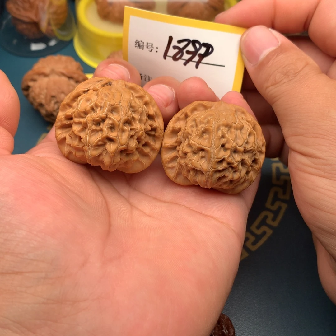 文玩核桃把件40全品核王1899