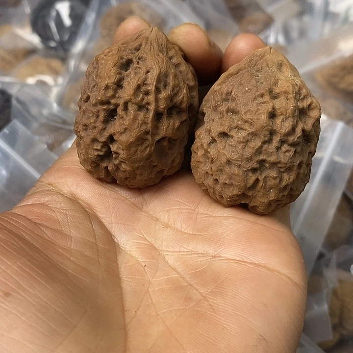 核桃云南铁核桃基地7