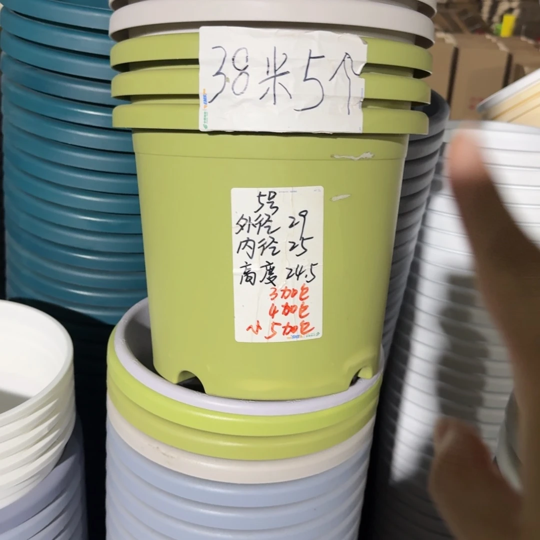 微瑕果绿色5号无拖6个
