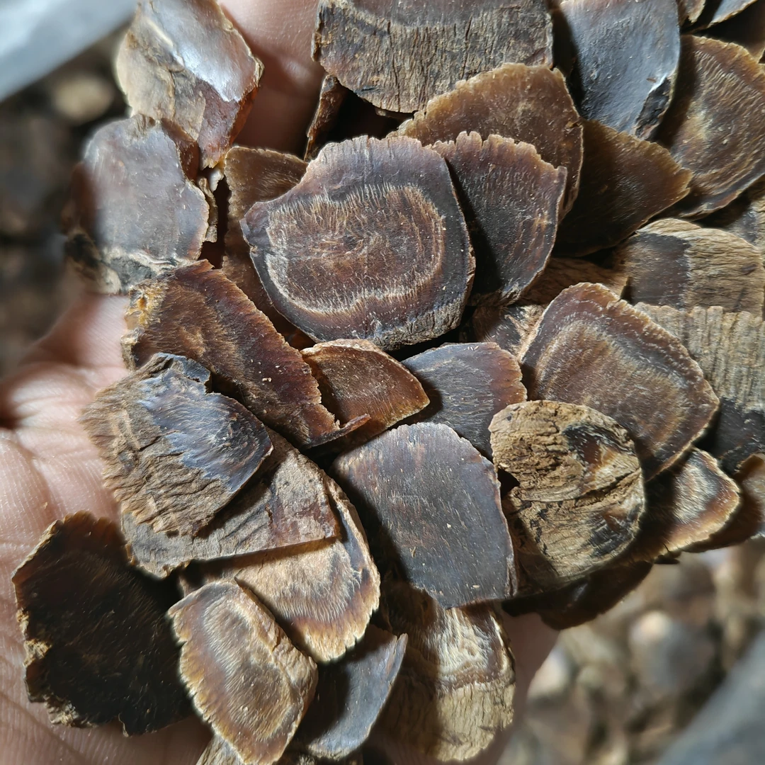 高年份  沉香高丽参边角片 泡水 煮水｜特价福利款（大小不一）