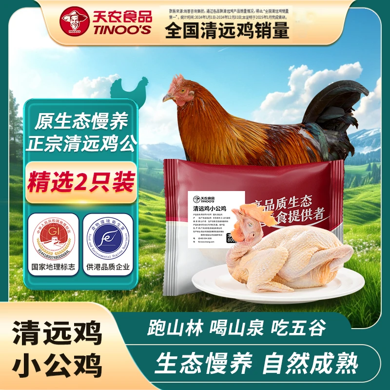 天农纯种清远鸡小公鸡山林散养土鸡单只1.6斤以上健康清蒸爆炒
