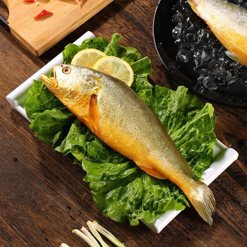 野生黄花鱼 顺丰冷链厦门发货按条售卖