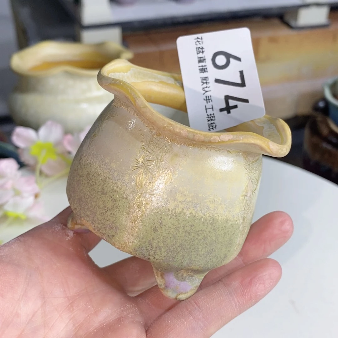 花盆花盆花盆花盆