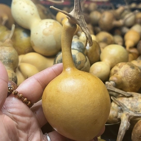 顺**为葫芦葫芦葫芦葫芦